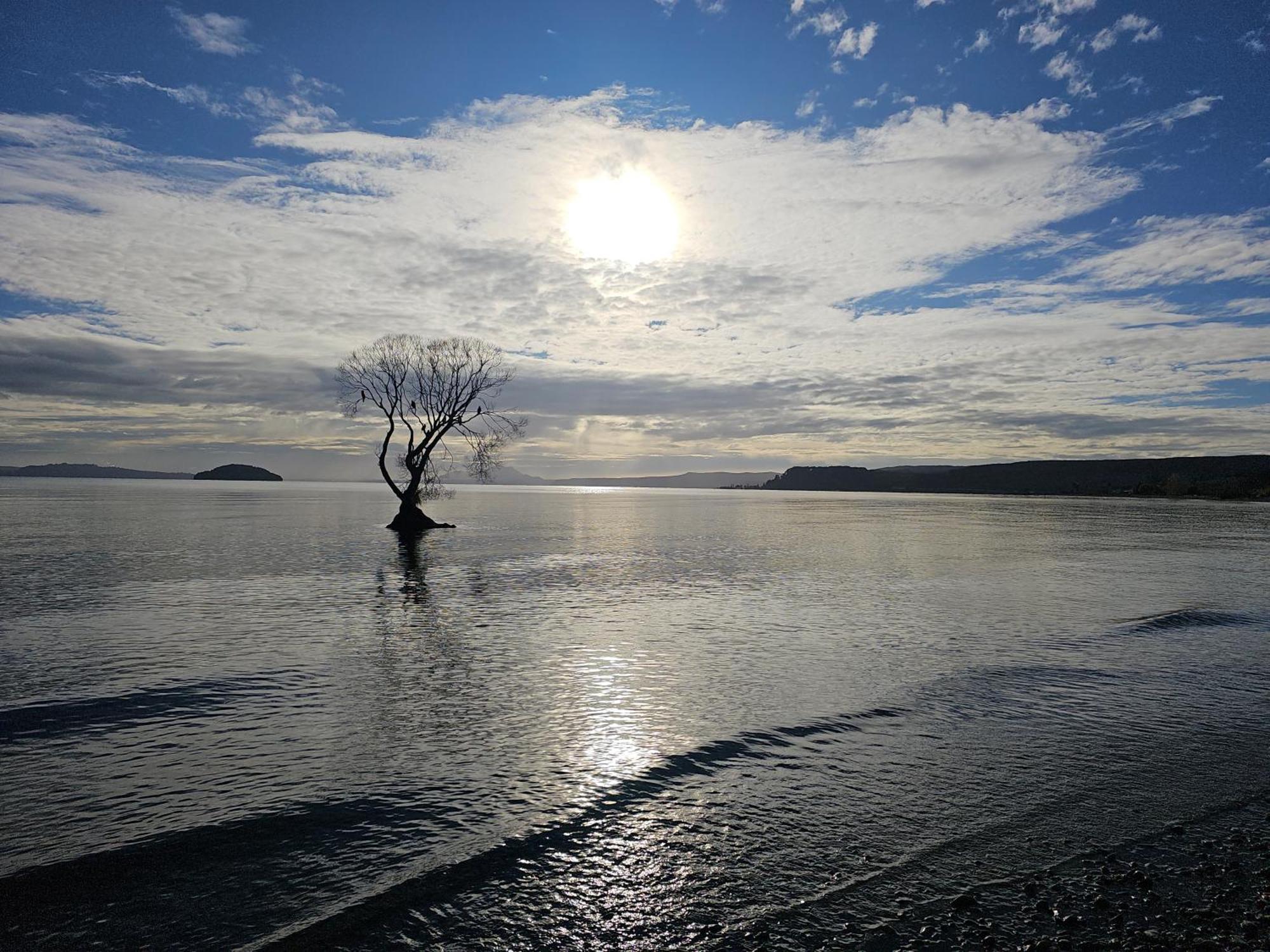 10 @ Wai Matangi Villa Turangi Eksteriør bilde